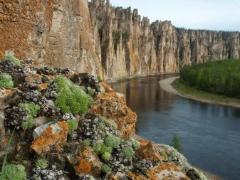 Камень агат: свойства, кому подходит по знаку зодиака, а также правила использования. Лечебные и магические свойства Агата, значение по гороскопу
