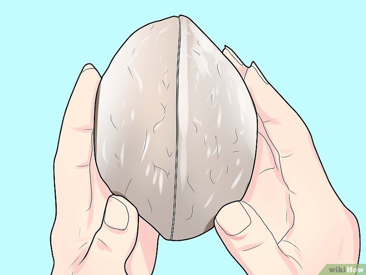 Изображение с названием Identify an Unopened Geode Step 1