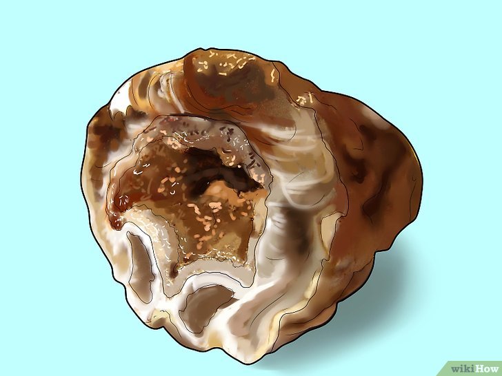 Изображение с названием Identify an Unopened Geode Step 2