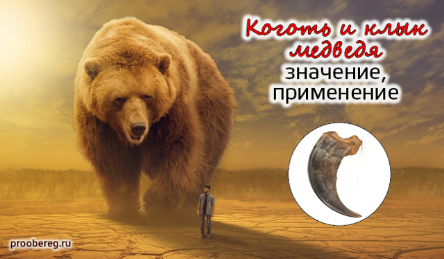 Медвежий коготь оберег: значение и как изготовить
