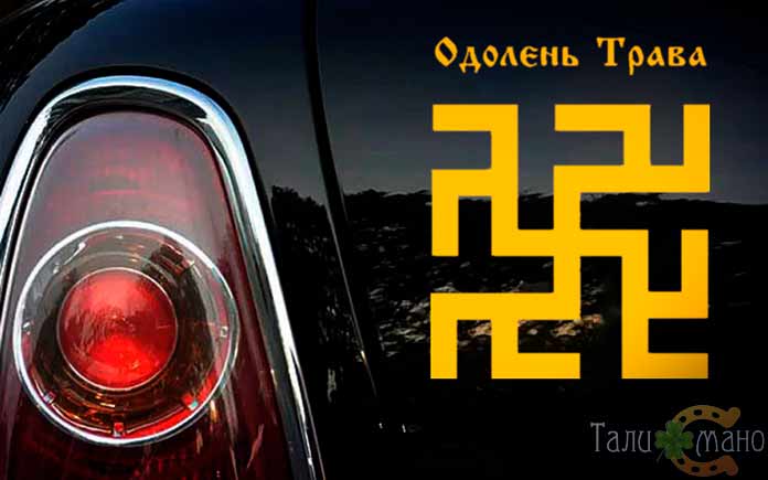 Как выглядит одолень трава