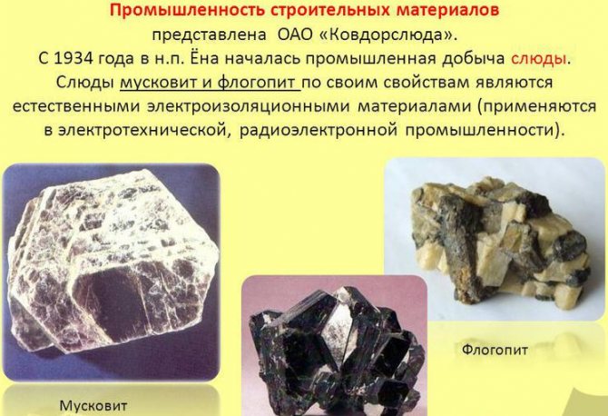 Слюда — это что за минерал? Описание и свойства слюды. Что такое слюда и для чего она нужна: особенности минерала и свойства, применение